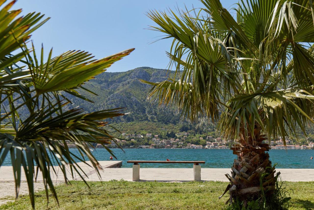 Apartment Mrsulja Kotor Exterior photo